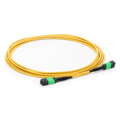 KEG.MPP系列MPO主干跳线